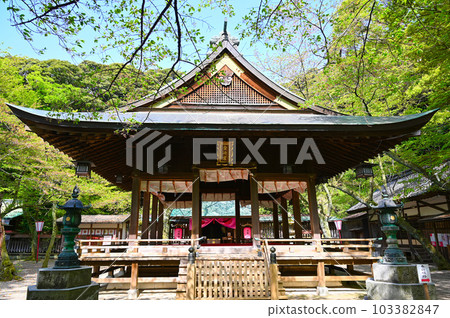 Kanezaki Shrine Tsuruga City 103382847