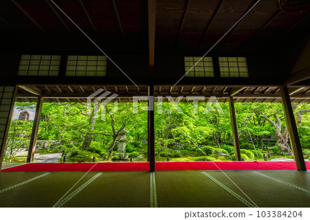The greenery of Enkoji Temple, the view of the garden seen from the study room, Kyoto City, Kyoto Prefecture The greenery of Enkoji Temple, the view of the garden seen from the study room, Kyoto City, Kyoto Prefecture 103384204