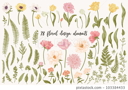 Floral design elements set in vintage style. Tulips, peony, anemones, chrysanthemum, phlox, ferns, eucalyptus seeds. Botanical illustration. Pastel colors. Art line. Floral design elements set in vintage style. Tulips, peony, anemones, chrysanthemum, phlox, ferns, eucalyptus seeds. Botanical illustration. Pastel colors. Art line. 103384433