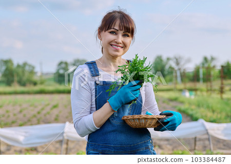 Portrait of smiling farmer woman with basket of arugula herbs looking at camera Portrait of smiling farmer woman with basket of arugula herbs looking at camera 103384487
