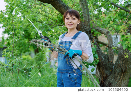 Woman gardener with saw and dry cut branches looking at camera in garden 103384490