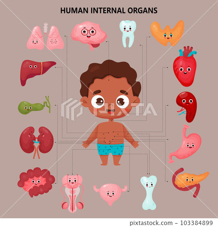 cartoon human body