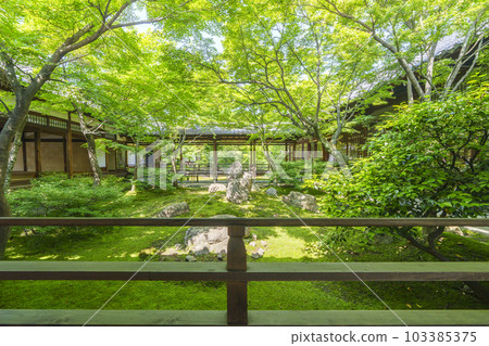 Kenninji Temple Choontei Spring season (Higashiyama-ku, Kyoto) 103385375