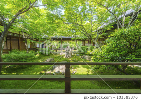 Kenninji Temple Choontei Spring season (Higashiyama-ku, Kyoto) Kenninji Temple Choontei Spring season (Higashiyama-ku, Kyoto) 103385376