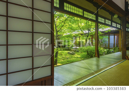 Kenninji Temple Choontei Picture Frame Garden Season of Fresh Green (Higashiyama Ward, Kyoto City) Kenninji Temple Choontei Picture Frame Garden Season of Fresh Green (Higashiyama Ward, Kyoto City) 103385383