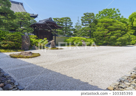 Kenninji Main Temple Front Garden Daiyuen Season of Fresh Greenery (Higashiyama Ward, Kyoto City) 103385393