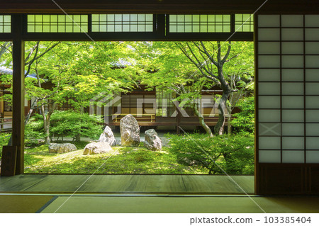 Kenninji Temple Choontei Picture Frame Garden Season of Fresh Green (Higashiyama Ward, Kyoto City) 103385404