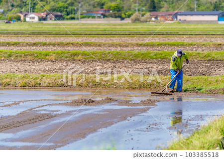 Rice planting, puddling, spring, handle 103385518