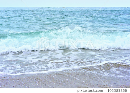 The beautiful sea of Kochi 103385866