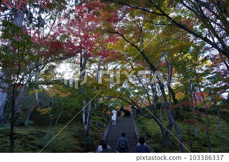 Jotokoji Temple 103386337