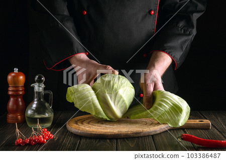 Professional chef makes a fresh cabbage salad. Preparation for slicing in the kitchen. Vegetable diet idea or Grande cuisine Professional chef makes a fresh cabbage salad. Preparation for slicing in the kitchen. Vegetable diet idea or Grande cuisine 103386487