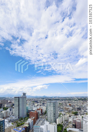 仙台市全景 103387525