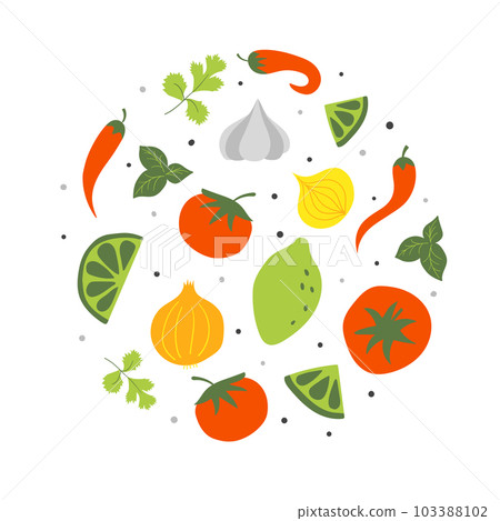 Set of fresh raw ingredients for mexican tomato sauce salsa. Flat vector illustration 103388102