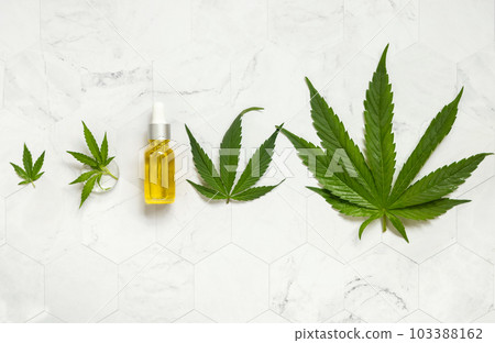 Dropper bottle with pipette near green cannabis leaves top view. Orgaic CBD oil Dropper bottle with pipette near green cannabis leaves top view. Orgaic CBD oil 103388162