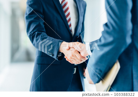 Businessman shaking hands 103388322