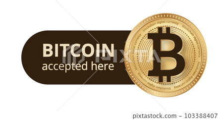 Bitcoin wallet pay accept vector illustration. 103388407