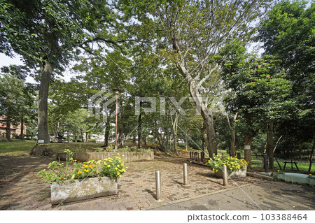 上山公園 上山公園 103388464