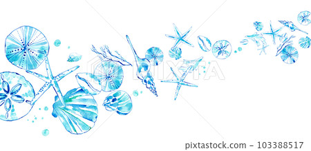 Watercolor illustration of various seashells. A cool summer decoration inspired by the sea. 103388517