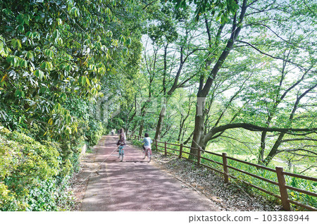 長津川綠地 長津川綠地 103388944