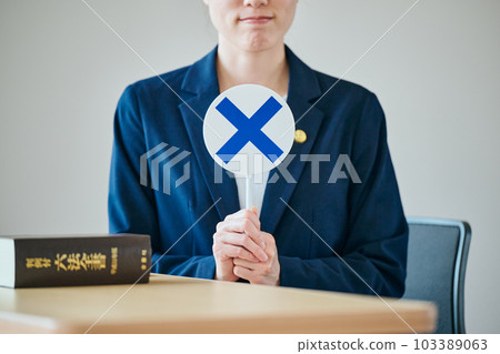 年輕女律師法官的尷尬 103389063