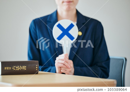 年輕女律師法官的尷尬 103389064