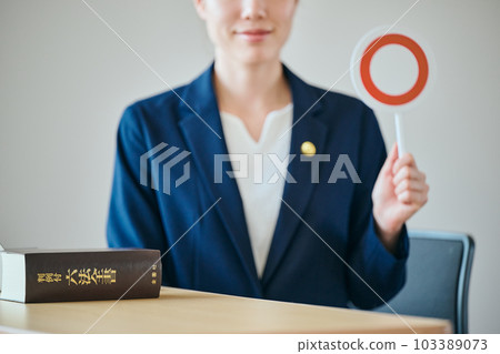 A young female lawyer making a judgment on Maru A young female lawyer making a judgment on Maru 103389073