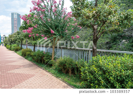 Kanda River Four Seasons Road Kanda River Four Seasons Road 103389357