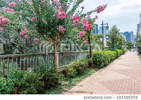 Kanda River Four Seasons Road Kanda River Four Seasons Road 103389358