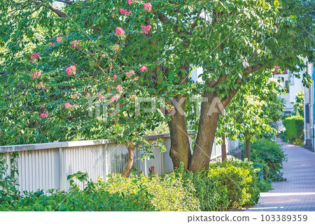 Kanda River Four Seasons Road Kanda River Four Seasons Road 103389359