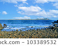 It is a beautiful winter scenery of migratory bird habitat in Jeju Island. 103389532