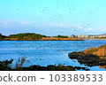 It is a beautiful winter scenery of migratory bird habitat in Jeju Island. 103389533