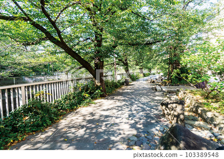 Kanda River Four Seasons Road Kanda River Four Seasons Road 103389548