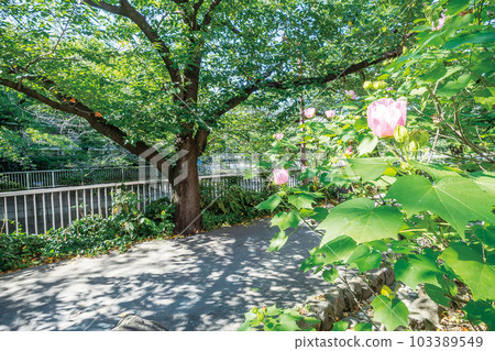 Kanda River Four Seasons Road Kanda River Four Seasons Road 103389549