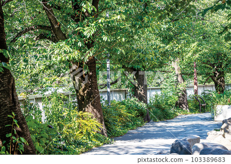 Kanda River Four Seasons Road Kanda River Four Seasons Road 103389683