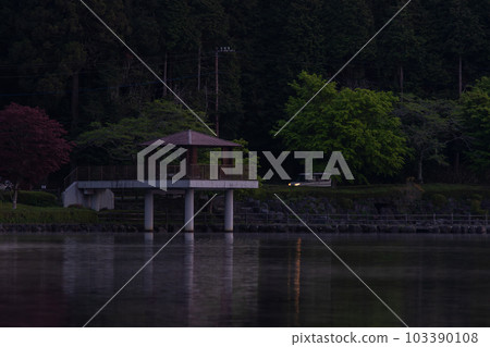 [Shizuoka Prefecture] Lake Tanuki before dawn 103390108