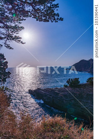 [靜岡縣西伊豆町]堂島海岸 103390441