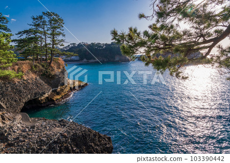 [Nishiizu Town, Shizuoka Prefecture] Coast of Dogashima 103390442