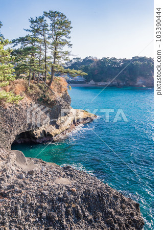 [Nishiizu Town, Shizuoka Prefecture] Coast of Dogashima 103390444