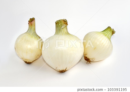 White onion, salad onion with less pungency and crunchy texture White onion, salad onion with less pungency and crunchy texture 103391195