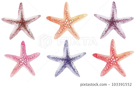 Set of Seashells on isolated white background, watercolor illustration, sea clipart 103391552