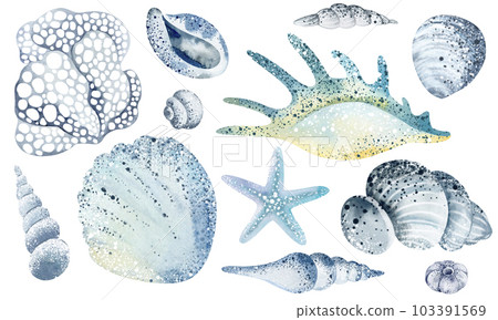Set of Seashells on isolated white background, watercolor illustration, sea clipart Set of Seashells on isolated white background, watercolor illustration, sea clipart 103391569