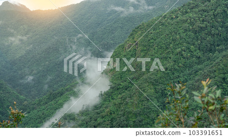 Mist on green mountain at the morning. Early morning in Thailand mountains. Mist on green mountain at the morning. Early morning in Thailand mountains. 103391651