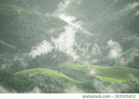Mist on green mountain at the morning.  Early morning in Thailand mountains. 103391652