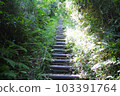 steep stairs 103391764