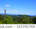 Ogusuyama, the view from the summit 103391766