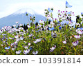 Nemophila and Mt. Fuji 103391814