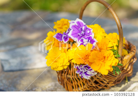 marigold flower basket 103392128