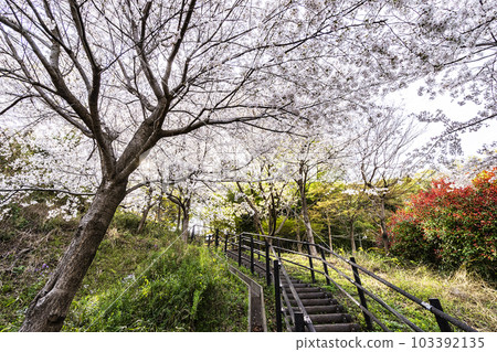 日吉之丘公園 日吉之丘公園 103392135