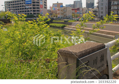 芝川大橋 2023 芝川 芝川大橋 2023 芝川 103392220