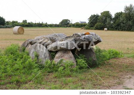 Dolmen of Kerangre - megalithic monument in Erdeven, Britany 103392347